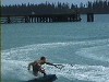 Scott
